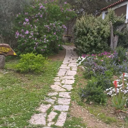 Agriturismo La Vigna-2